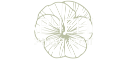 Хоста купить